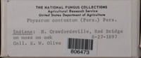 Image Associated With the Occurence